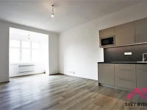Pronájem bytu 1+kk, Praha - Dejvice, Zelená, 31 m2