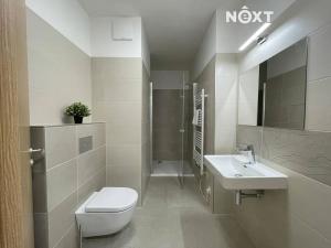 Pronájem bytu 1+kk, Liberec, Dukelská, 40 m2