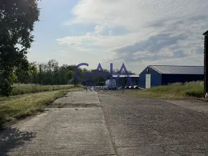 Pronájem skladu, Hovorany, 2105 m2