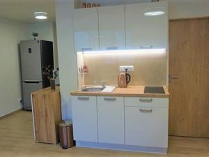 Pronájem bytu 2+kk, Brno - Husovice, náměstí Republiky, 48 m2