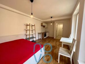 Pronájem bytu 1+kk, Praha - Nové Město, Ječná, 30 m2