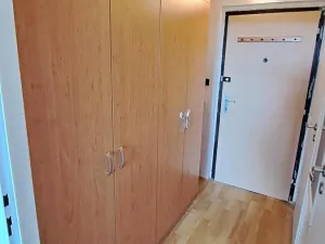 Pronájem bytu 1+kk, Ostrava, Hornopolní, 30 m2