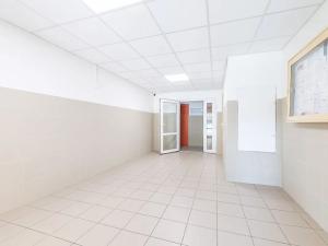 Prodej bytu 2+kk, České Budějovice, M. Chlajna, 39 m2