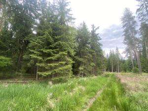 Prodej lesa, Blížejov - Lštění, 3197 m2