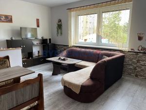 Pronájem bytu 1+kk, České Budějovice, 33 m2