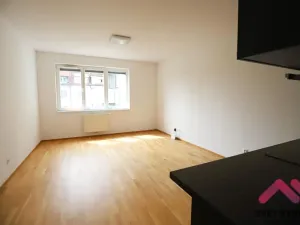 Pronájem bytu 1+kk, Praha - Michle, Hadovitá, 40 m2