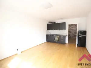Pronájem bytu 1+kk, Praha - Michle, Hadovitá, 40 m2