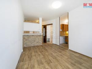 Prodej bytu 2+kk, Praha - Braník, Jílovská, 34 m2