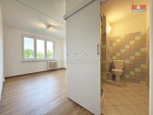 Pronájem bytu 1+kk, Karlovy Vary - Stará Role, Fibichova, 18 m2