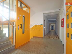Pronájem bytu 1+kk, Karlovy Vary - Stará Role, Fibichova, 18 m2