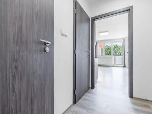 Pronájem bytu 1+kk, České Budějovice, Dlouhá, 27 m2