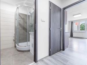Pronájem bytu 1+kk, České Budějovice, Dlouhá, 27 m2