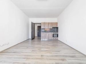 Pronájem bytu 1+kk, České Budějovice, Dlouhá, 27 m2