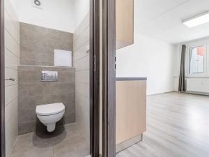 Pronájem bytu 1+kk, České Budějovice, Dlouhá, 27 m2
