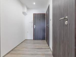 Pronájem bytu 1+kk, České Budějovice, Dlouhá, 27 m2
