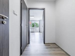 Pronájem bytu 1+kk, České Budějovice, Dlouhá, 27 m2