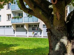 Pronájem bytu 1+kk, České Budějovice, Dlouhá, 27 m2
