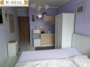 Pronájem bytu 1+kk, Brno, Pražská, 24 m2