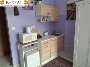 Pronájem bytu 1+kk, Brno, Pražská, 24 m2