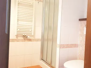 Pronájem bytu 1+kk, České Budějovice, Tylova, 51 m2