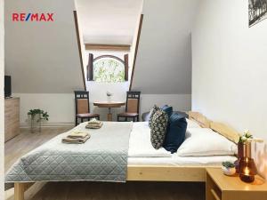 Pronájem atypického bytu, Volary, K. V. Raise, 392 m2