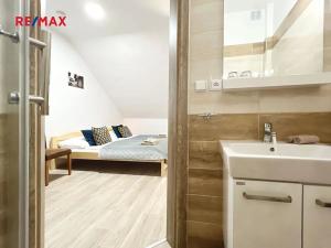 Pronájem atypického bytu, Volary, K. V. Raise, 392 m2