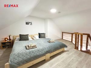 Pronájem atypického bytu, Volary, K. V. Raise, 392 m2