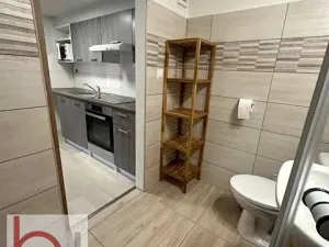 Pronájem bytu 1+kk, Český Krumlov, Stříbrná, 33 m2