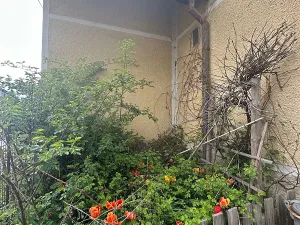Prodej rodinného domu, Kralovice, Pod Kasárny, 360 m2