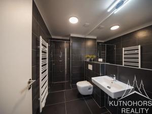 Pronájem bytu 1+kk, Kutná Hora, Hloušecká, 24 m2