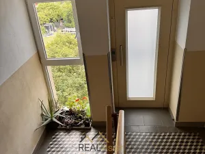 Prodej bytu 1+1, Brno, Kamenná, 45 m2