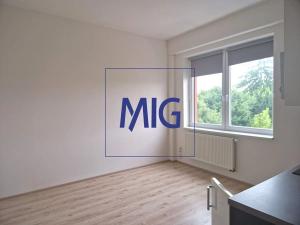 Pronájem bytu 1+kk, Brno, Franzova, 26 m2