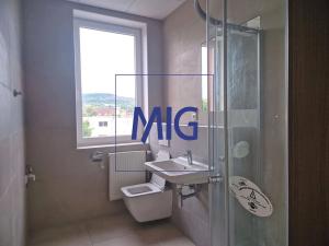 Pronájem bytu 1+kk, Brno, Franzova, 26 m2