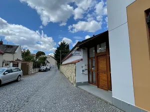 Pronájem bytu 2+kk, Praha - Břevnov, Šlikova, 50 m2