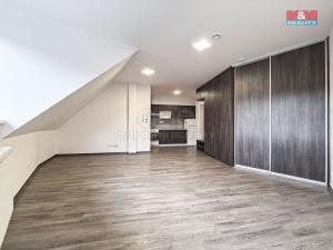 Pronájem bytu 1+kk, Česká Třebová, Riegrova, 33 m2