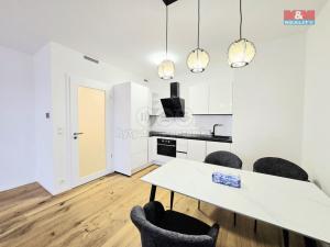 Pronájem bytu 2+kk, Praha - Strašnice, Ramonova, 59 m2