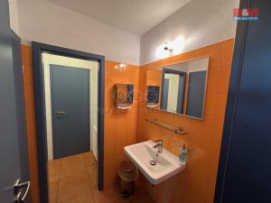 Pronájem kanceláře, Slapy, 310 m2