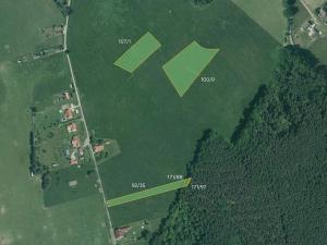 Prodej louky, Majdalena, 10797 m2