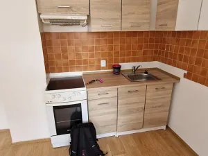 Pronájem bytu 1+1, Krupka, Koněvova, 48 m2