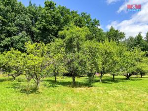 Prodej zahrady, Strakonice - Strakonice I, 2504 m2