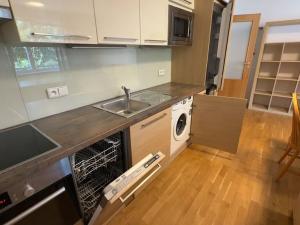 Pronájem bytu 1+kk, Brno, Vinohrady, 38 m2