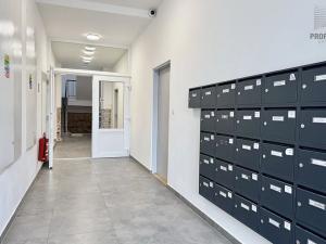 Prodej bytu 2+kk, Brno, Stavební, 41 m2