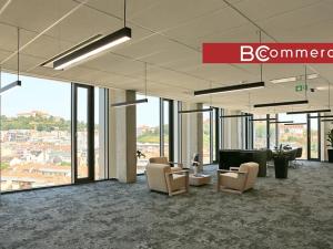 Pronájem kanceláře, Brno, 445 m2