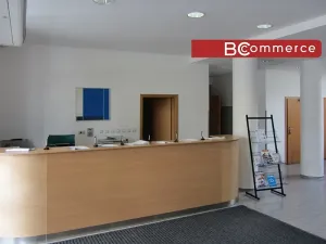 Pronájem kanceláře, Brno, 56 m2