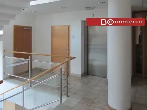 Pronájem kanceláře, Brno, 56 m2