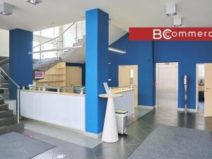 Pronájem kanceláře, Brno, Purkyňova, 300 m2