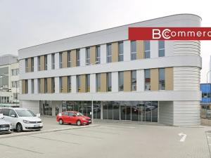 Pronájem kanceláře, Brno, Polní, 350 m2