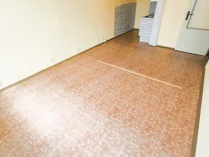 Prodej bytu 2+kk, Most, Františka Malíka, 40 m2