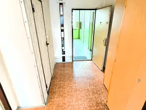 Prodej bytu 2+kk, Most, Františka Malíka, 40 m2