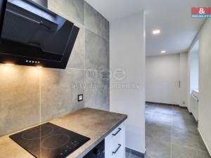 Pronájem bytu 2+kk, Plzeň - Východní Předměstí, Rychtaříkova, 28 m2